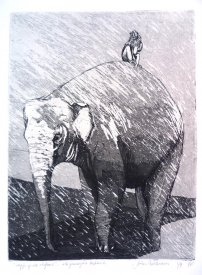 Aapje op de olifant